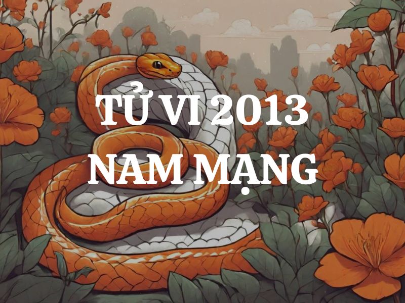 Tử vi 2013 tuổi Quý Tỵ nam mạng: Vận mệnh, tình duyên, sự nghiệp