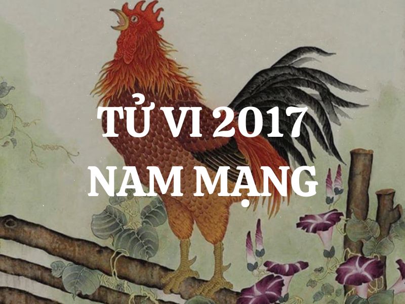 Tử vi 2017 tuổi Đinh Dậu nam mạng: Vận mệnh, tình duyên, sự nghiệp