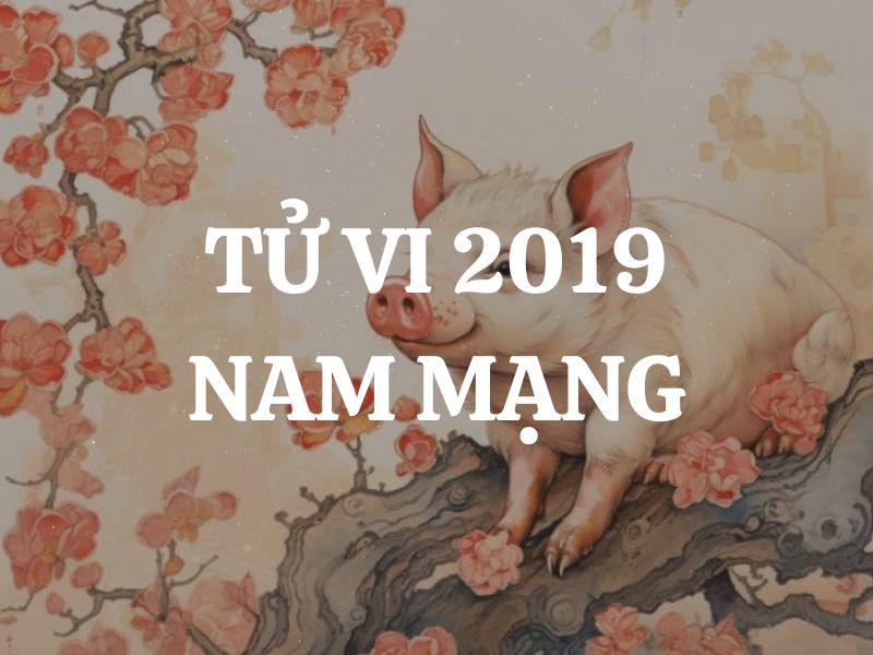 Tử vi 2019 tuổi Kỷ Hợi nam mạng: Vận mệnh, tình duyên, sự nghiệp