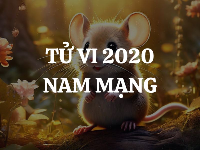 Tử vi 2020 tuổi Canh Tý nam mạng: Vận mệnh, tình duyên, sự nghiệp