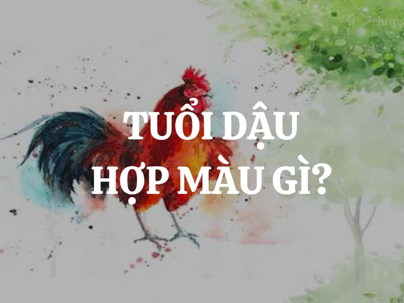 Tuổi Dậu hợp màu gì? Vật phẩm phong thuỷ phù hợp cho người tuổi Dậu