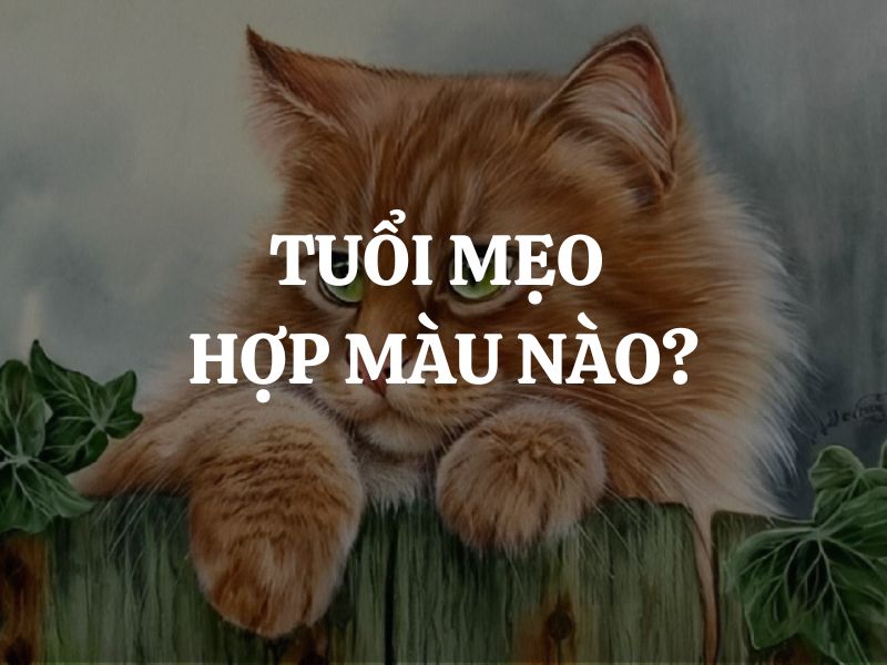 Tuổi Mão hợp màu gì để mang lại may mắn và thành công?