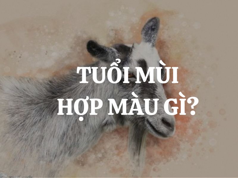 Tuổi Mùi hợp màu gì, kỵ màu gì? Vật phẩm phong thuỷ phù hợp cho người tuổi Mùi