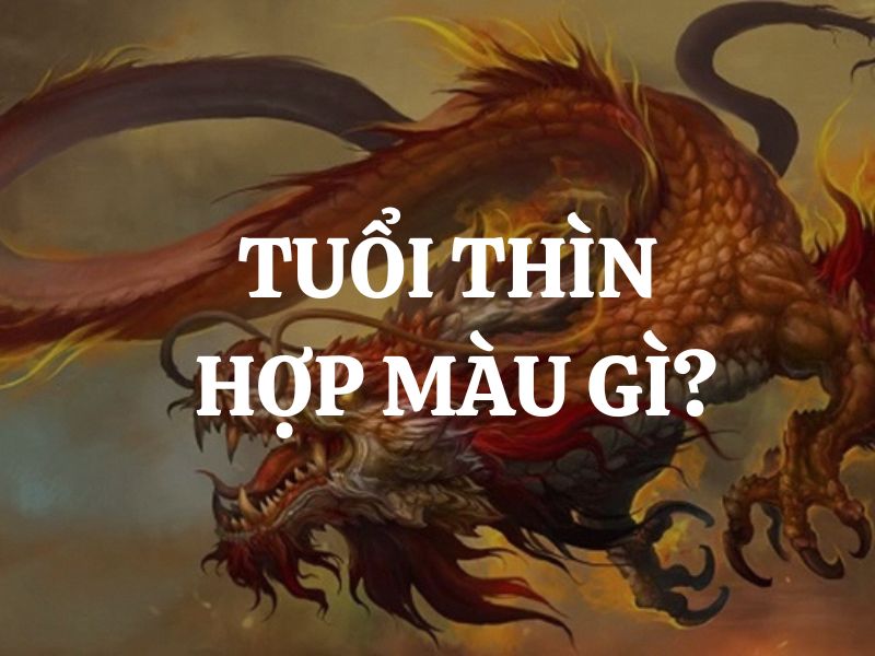 Tuổi Thìn hợp màu gì, kỵ màu gì? Vật phẩm hợp phong thuỷ cho người tuổi Thìn