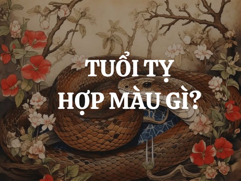 Tuổi Tỵ hợp màu gì, kỵ màu gì? Vật phẩm phong thuỷ phù hợp cho người tuổi Tỵ