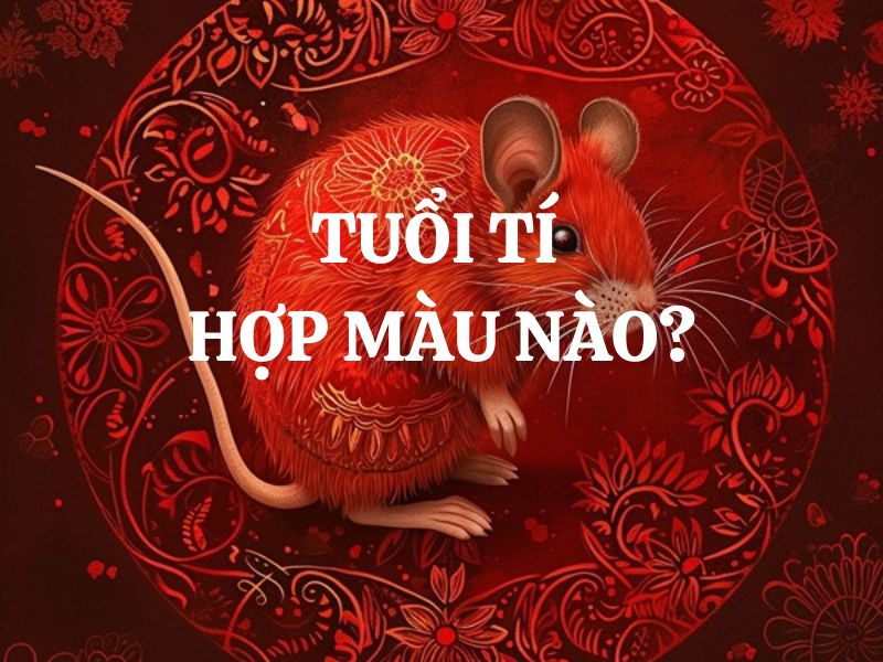 Tuổi Tý hợp màu gì? Ý nghĩa của từng màu sắc hợp với tuổi Tý