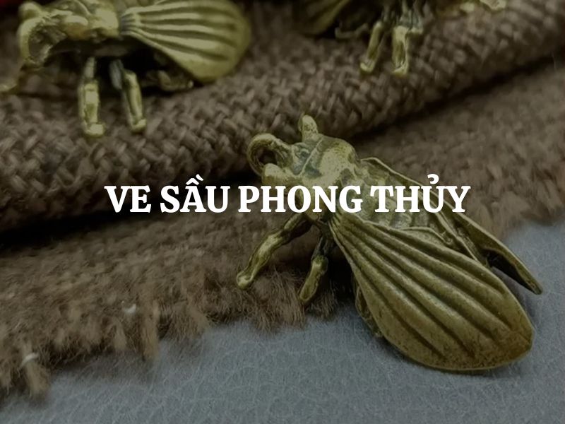 Ve sầu phong thủy: Ý nghĩa và cách sử dụng hiệu quả