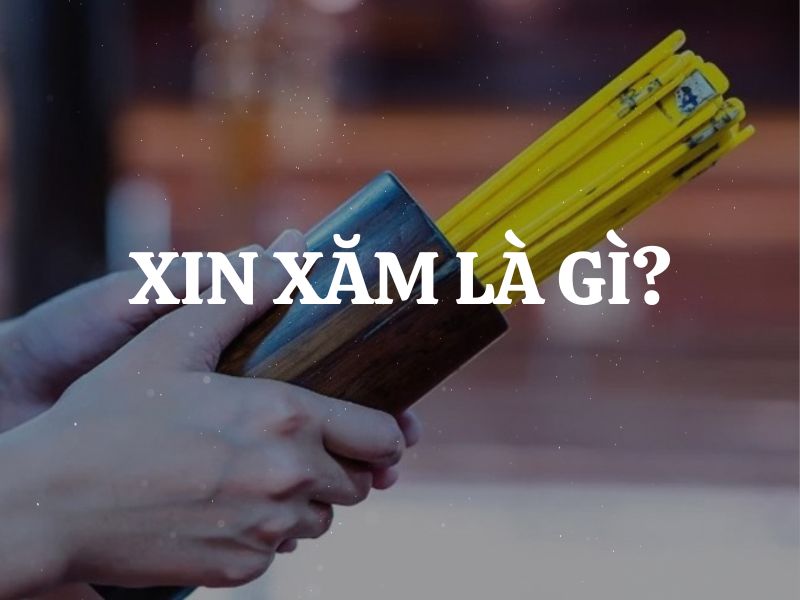 Xin xăm là gì? Tìm hiểu các dạng xin xăm phổ biến nhất hiện nay