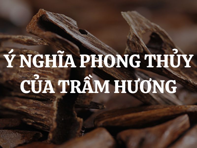 Ý nghĩa phong thủy của trầm hương là gì? Các lưu ý khi sử dụng trầm hương trong phong thủy